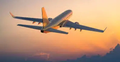 Картинка довгочиту