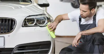 Картинка довгочиту