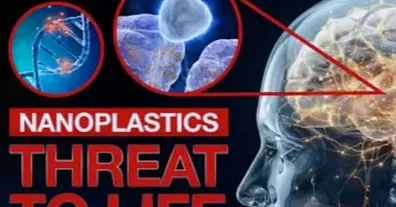 Картинка довгочиту