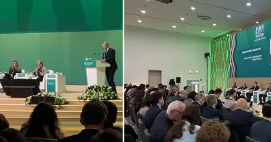 Картинка довгочиту