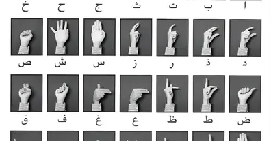 Картинка довгочиту