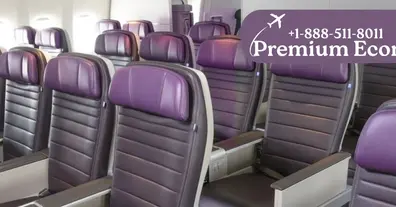 Картинка довгочиту