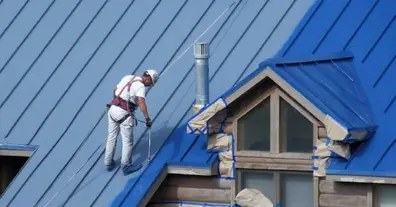 Картинка довгочиту