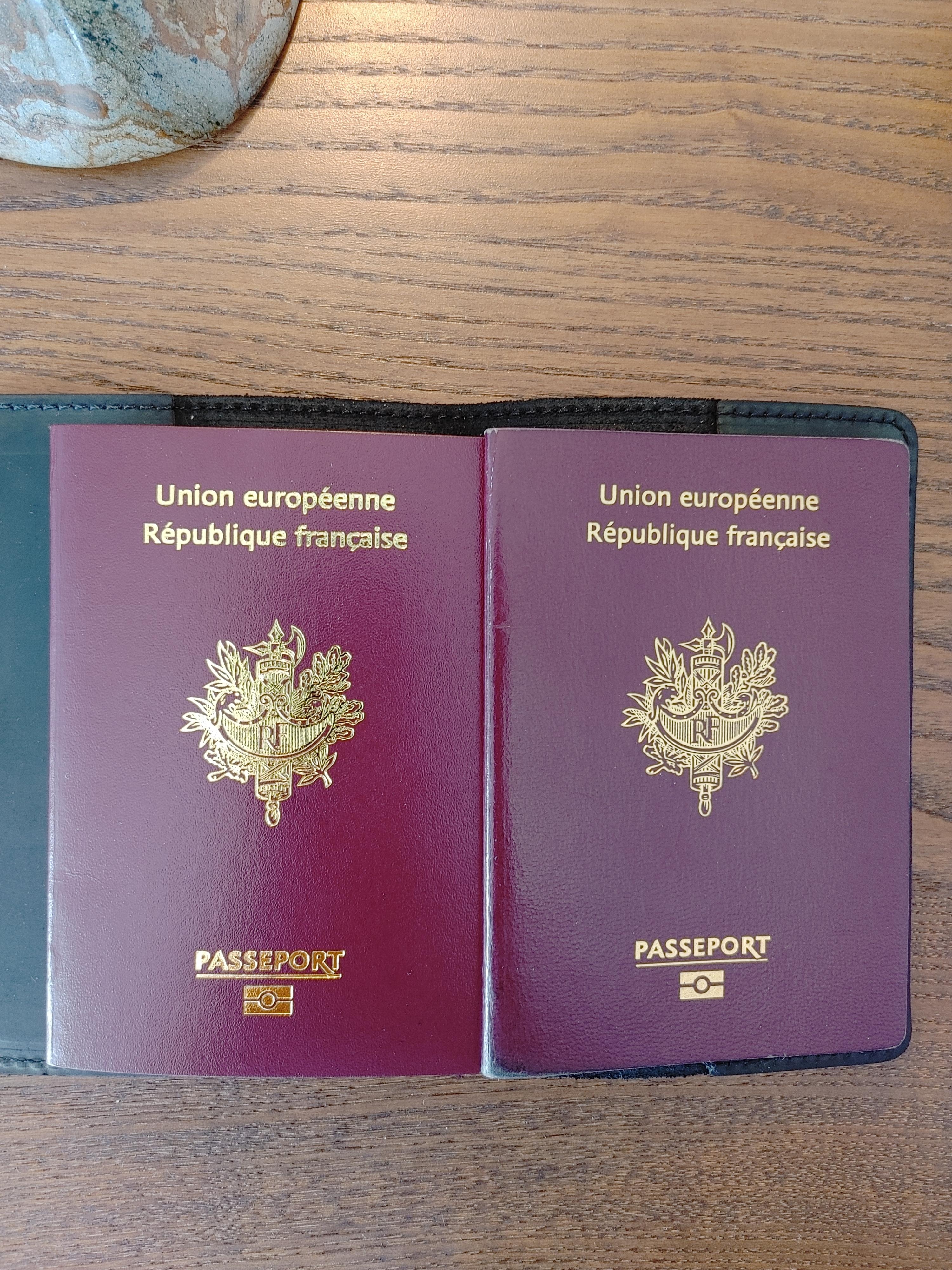 French passport "Grand Voyageur" (48 pages) : r/PassportPorn