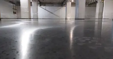 Картинка довгочиту