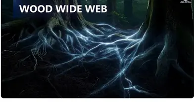 Картинка довгочиту