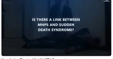 Картинка довгочиту