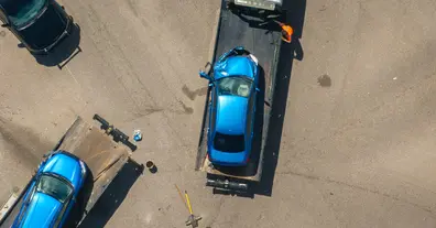 Картинка довгочиту