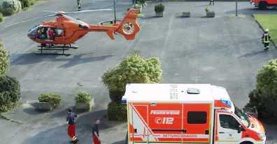 Картинка довгочиту