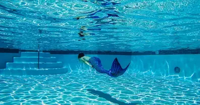 Картинка довгочиту