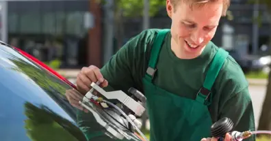 Картинка довгочиту