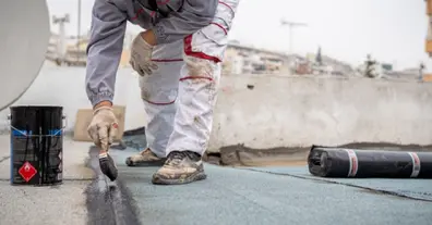 Картинка довгочиту