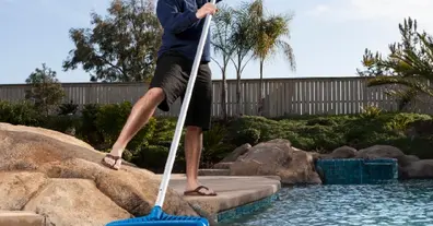 Картинка довгочиту