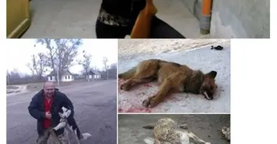 Картинка довгочиту