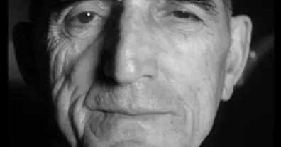 Картинка довгочиту