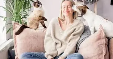 Картинка довгочиту