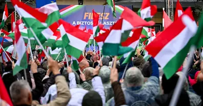 Картинка довгочиту