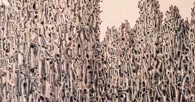 Картинка довгочиту