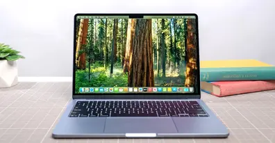 Картинка довгочиту