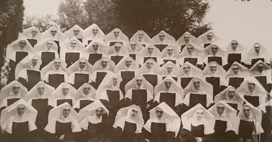 Картинка довгочиту