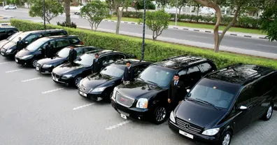 Картинка довгочиту