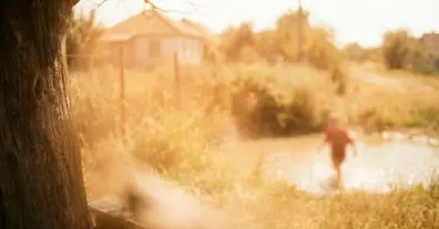 Картинка довгочиту