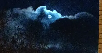 Картинка довгочиту