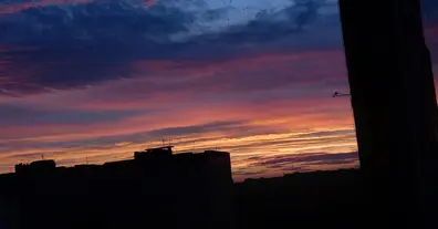 Картинка довгочиту