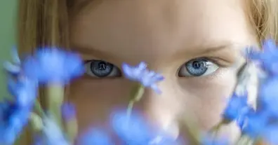 Картинка довгочиту