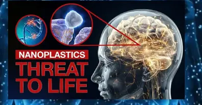 Картинка довгочиту