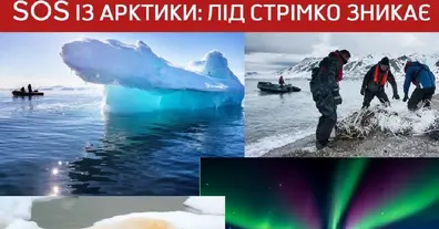 Картинка довгочиту