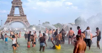 Картинка довгочиту