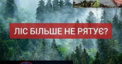 Картинка довгочиту