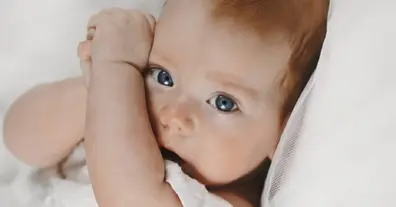 Картинка довгочиту