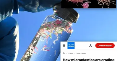 Картинка довгочиту