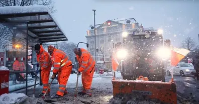 Картинка довгочиту