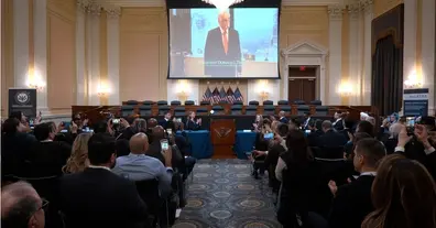 Картинка довгочиту