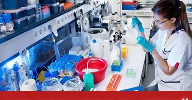 Картинка довгочиту