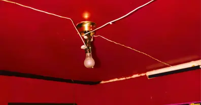 Картинка довгочиту