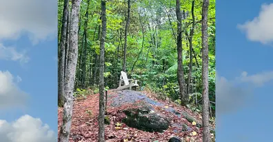 Картинка довгочиту