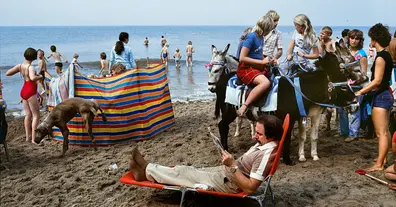 Картинка довгочиту