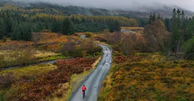 Картинка довгочиту