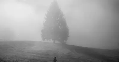 Картинка довгочиту