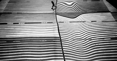 Картинка довгочиту