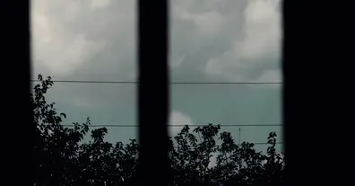 Картинка довгочиту