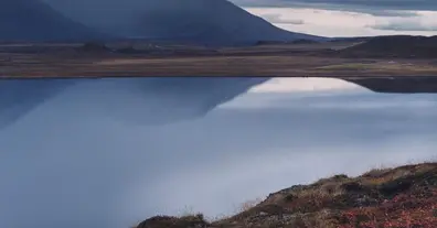 Картинка довгочиту