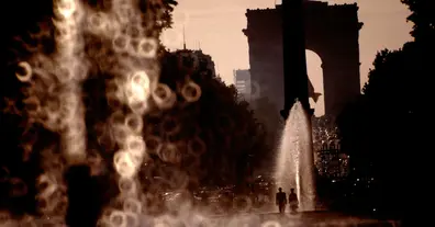 Картинка довгочиту