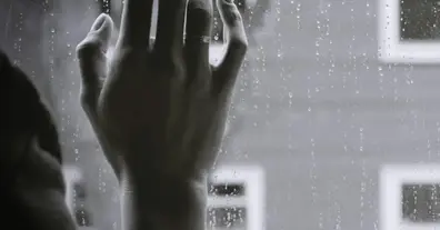 Картинка довгочиту