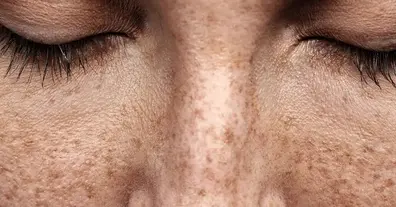 Картинка довгочиту