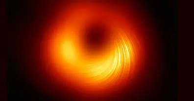 Картинка довгочиту